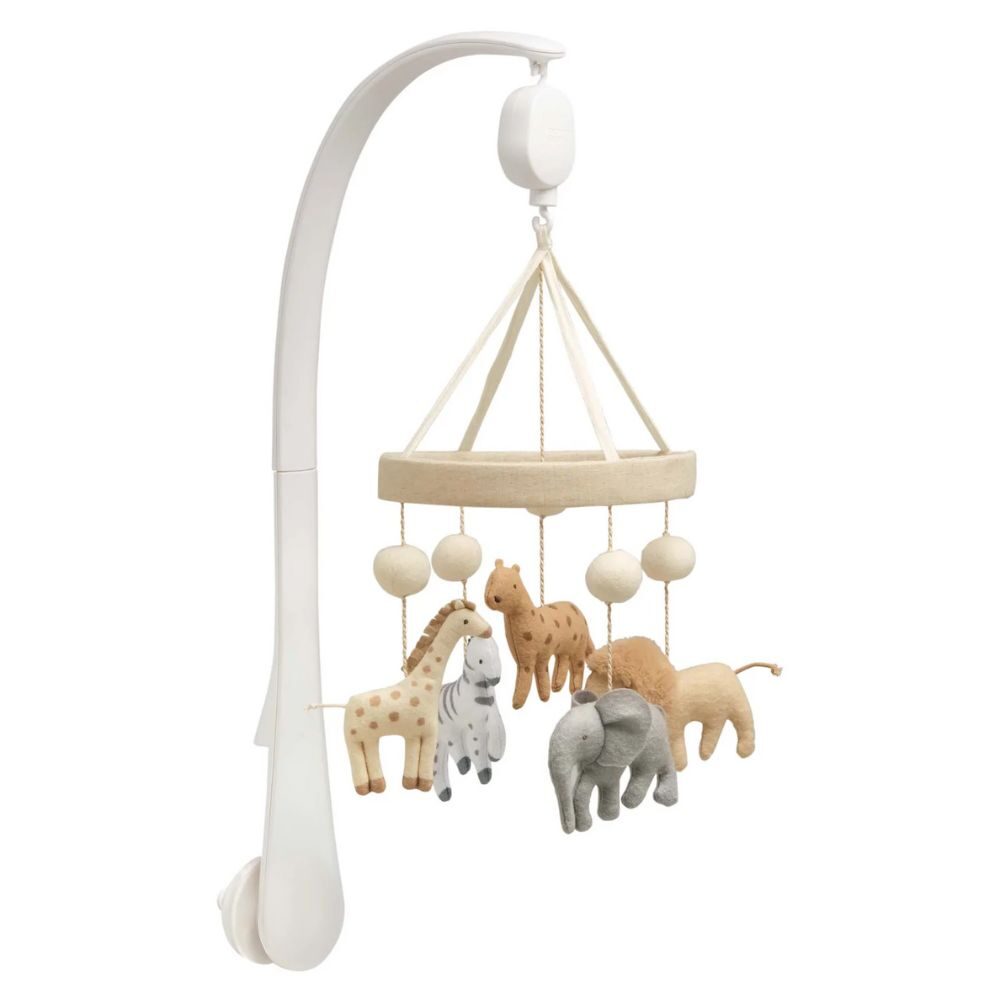 Mamas & Papas Born To Be Wild Mobile