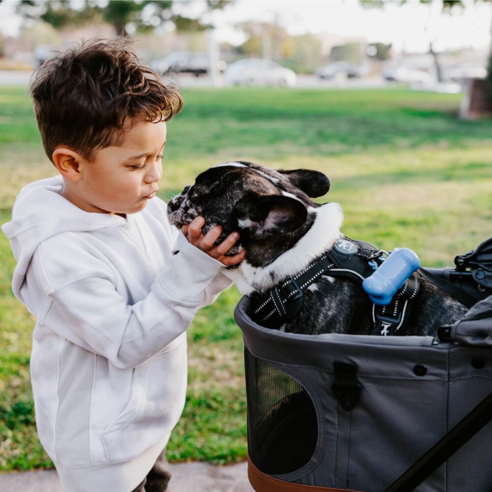 Wonderfold Pet Stroller