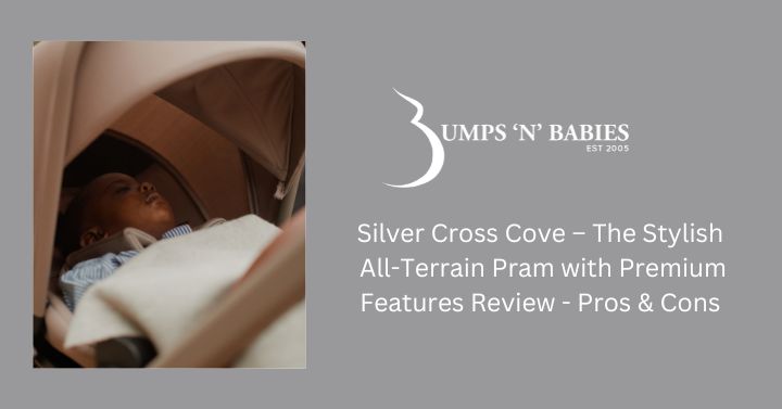 Silver Cross Cove pros and Cons - Is it right for me